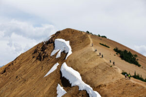 Group of mountain bikers riding a trail in the Chilcotin mountains.